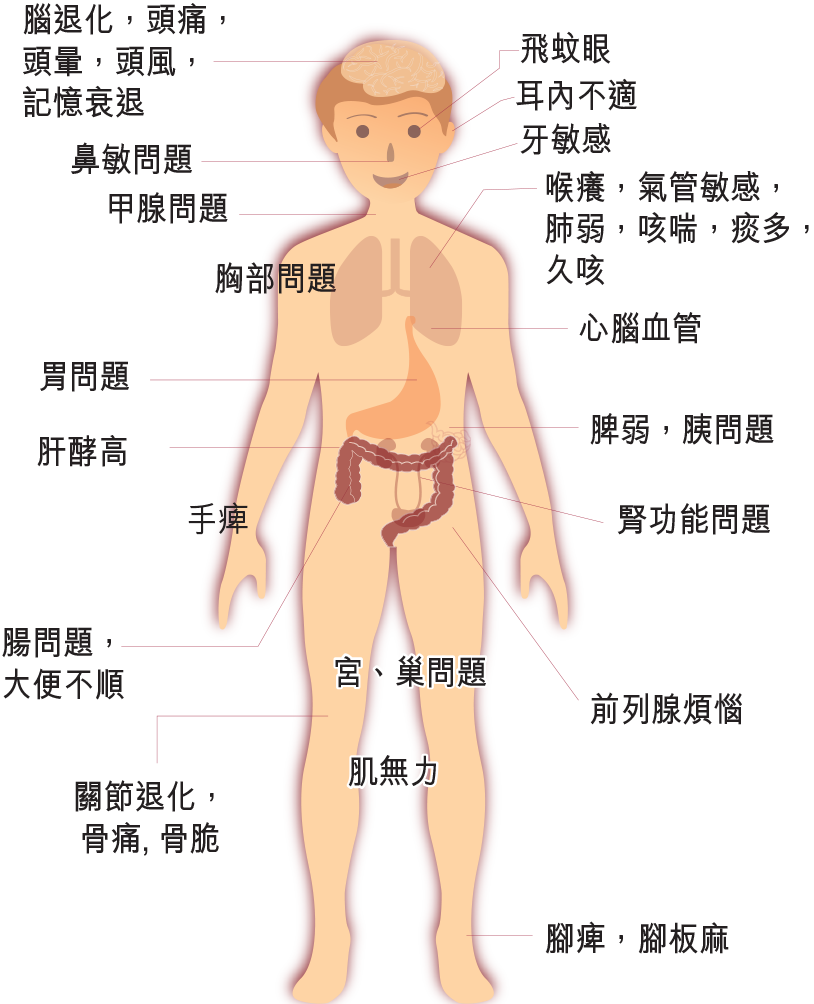 集30多种功效,对人体全身各部位